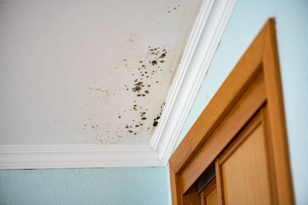 Water Damage Restoration in Tillamook, OR