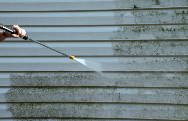 Best Attic Mold Removal  in Tillamook, OR