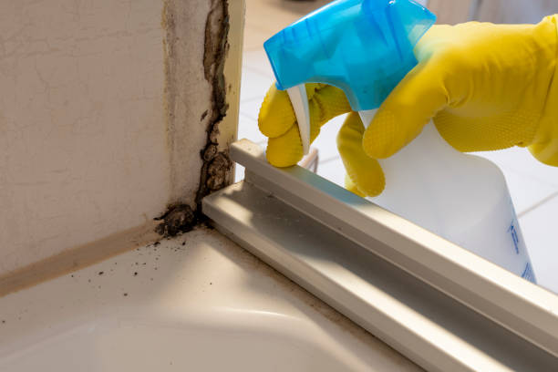 Best Crawl Space Mold Removal  in Tillamook, OR